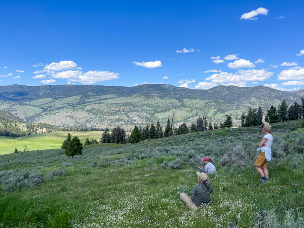 northern-rockies-nature-journaling-course-2024-yf-piper-jefferson